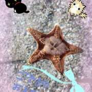 ヒメ日記 2026/03/04 15:53 投稿 れお 回春メンズエステ 華びら