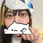 ヒメ日記 2026/02/23 02:16 投稿 ゆあ 横浜シンデレラ（シンデレラグループ）