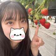 ヒメ日記 2026/02/24 13:27 投稿 ゆあ 横浜シンデレラ（シンデレラグループ）