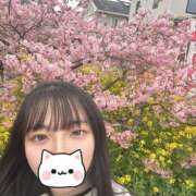 ゆあ 桜? 横浜シンデレラ（シンデレラグループ）