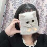 ヒメ日記 2026/01/28 21:44 投稿 ミルモ ピンクコレクションBabyキタ兎我野店