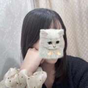 ヒメ日記 2026/01/29 19:30 投稿 ミルモ ピンクコレクションBabyキタ兎我野店