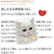 ヒメ日記 2026/01/29 20:20 投稿 ミルモ ピンクコレクションBabyキタ兎我野店