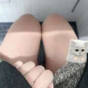 ヒメ日記 2026/01/30 21:20 投稿 ミルモ ピンクコレクションBabyキタ兎我野店