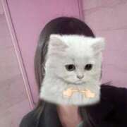 ヒメ日記 2026/02/06 20:00 投稿 ミルモ ピンクコレクションBabyキタ兎我野店