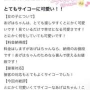 ヒメ日記 2026/06/20 16:53 投稿 あげは ニューグランド