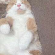 ヒメ日記 2026/02/03 20:14 投稿 八木あやな デリス新宿