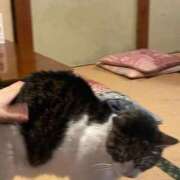 ヒメ日記 2026/02/05 18:21 投稿 八木あやな デリス新宿