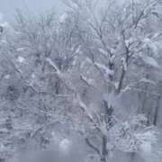 ヒメ日記 2026/02/16 13:24 投稿 八木あやな デリス新宿