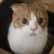 ヒメ日記 2026/02/22 12:54 投稿 八木あやな デリス新宿