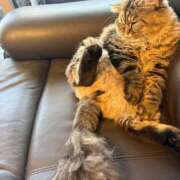 のあ 出勤してます😁💕 奈良橿原大和高田ちゃんこ