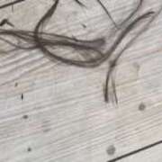 ヒメ日記 2026/02/26 18:23 投稿 のあ 奈良橿原大和高田ちゃんこ