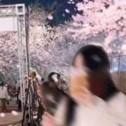 ヒメ日記 2026/08/15 10:18 投稿 ☆なつめ☆ ◆プラウディア◆AAA級素人娘在籍店