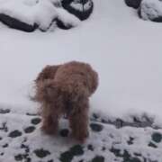 ヒメ日記 2026/02/08 07:57 投稿 つむぎ 千葉人妻花壇