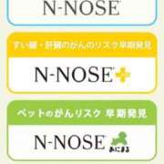つむぎ こんにちにゃ 千葉人妻花壇