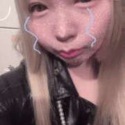 ヒメ日記 2026/01/28 23:17 投稿 りあん Kitty(キティー)