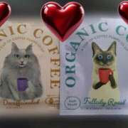 ヒメ日記 2026/01/29 22:49 投稿 なつみ 出会い系人妻ネットワーク札幌駅～大通り・すすきの編