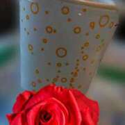 ヒメ日記 2026/02/05 11:13 投稿 なつみ 出会い系人妻ネットワーク札幌駅～大通り・すすきの編