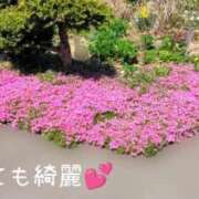 ヒメ日記 2026/05/05 11:18 投稿 なつみ 出会い系人妻ネットワーク札幌駅～大通り・すすきの編