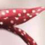 ヒメ日記 2026/03/02 09:57 投稿 よしの ぷるるんマダム 難波店