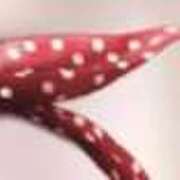 ヒメ日記 2026/03/02 10:05 投稿 よしの ぷるるんマダム 難波店