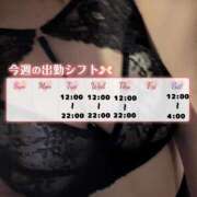 ヒメ日記 2026/02/03 16:22 投稿 はな CCキャッツ