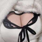 ヒメ日記 2026/03/26 16:22 投稿 はな CCキャッツ