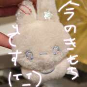 らら ごめんね、、、 かりんと赤坂