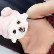 ヒメ日記 2026/02/27 18:03 投稿 ふう しゃぼんくらぶ一番館