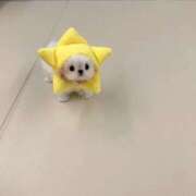 ヒメ日記 2026/07/25 07:59 投稿 さくら MAXIM（マキシム）