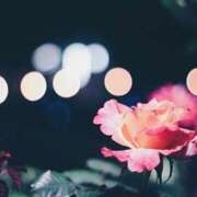 ヒメ日記 2026/02/08 00:01 投稿 七瀬みなみ ABC 岩手ソープ