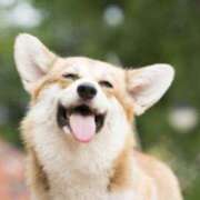 ヒメ日記 2026/02/27 00:01 投稿 七瀬みなみ ABC 岩手ソープ