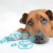 ヒメ日記 2026/03/01 23:46 投稿 七瀬みなみ ABC 岩手ソープ