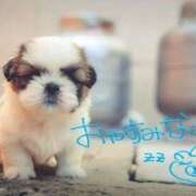 ヒメ日記 2026/03/07 00:01 投稿 七瀬みなみ ABC 岩手ソープ