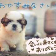 ヒメ日記 2026/03/07 23:46 投稿 七瀬みなみ ABC 岩手ソープ