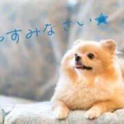 ヒメ日記 2026/03/17 23:46 投稿 七瀬みなみ ABC 岩手ソープ