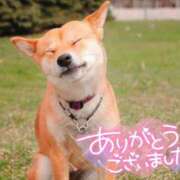 ヒメ日記 2026/03/18 16:46 投稿 七瀬みなみ ABC 岩手ソープ