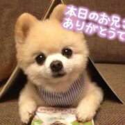 ヒメ日記 2026/03/30 00:01 投稿 七瀬みなみ ABC 岩手ソープ