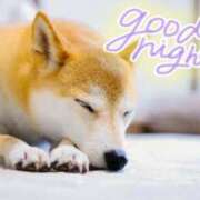 ヒメ日記 2026/04/01 00:01 投稿 七瀬みなみ ABC 岩手ソープ