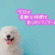 ヒメ日記 2026/04/06 23:46 投稿 七瀬みなみ ABC 岩手ソープ