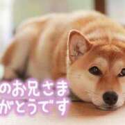 ヒメ日記 2026/04/10 10:46 投稿 七瀬みなみ ABC 岩手ソープ