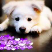 ヒメ日記 2026/04/10 23:31 投稿 七瀬みなみ ABC 岩手ソープ