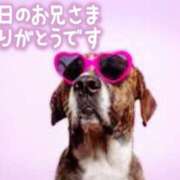 ヒメ日記 2026/04/18 00:16 投稿 七瀬みなみ ABC 岩手ソープ