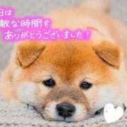 ヒメ日記 2026/04/19 00:01 投稿 七瀬みなみ ABC 岩手ソープ