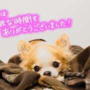 ヒメ日記 2026/04/22 00:01 投稿 七瀬みなみ ABC 岩手ソープ