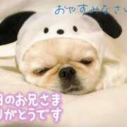 ヒメ日記 2026/05/05 00:01 投稿 七瀬みなみ ABC 岩手ソープ