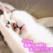 ヒメ日記 2026/07/03 00:01 投稿 七瀬みなみ ABC 岩手ソープ
