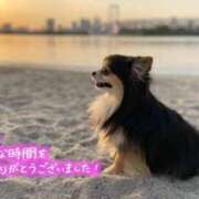 ヒメ日記 2026/07/06 00:02 投稿 七瀬みなみ ABC 岩手ソープ