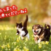 ヒメ日記 2026/08/18 23:46 投稿 七瀬みなみ ABC 岩手ソープ