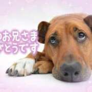 ヒメ日記 2026/08/24 23:46 投稿 七瀬みなみ ABC 岩手ソープ